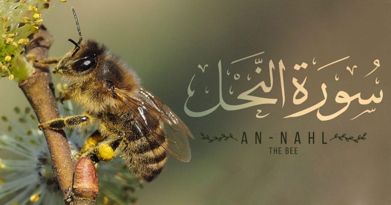 Surah Nahl