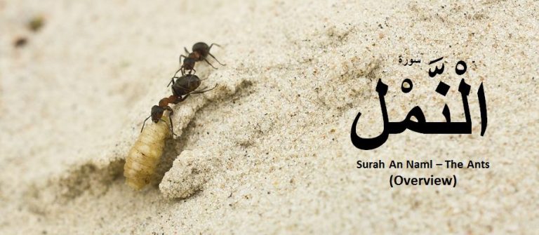 Surah Naml